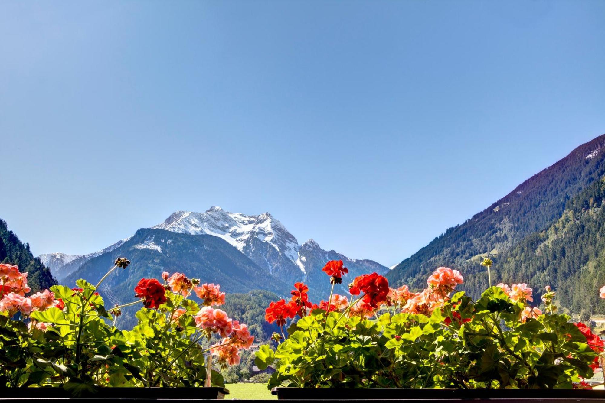 Gaestehaus Oblasser Mayrhofen Ngoại thất bức ảnh